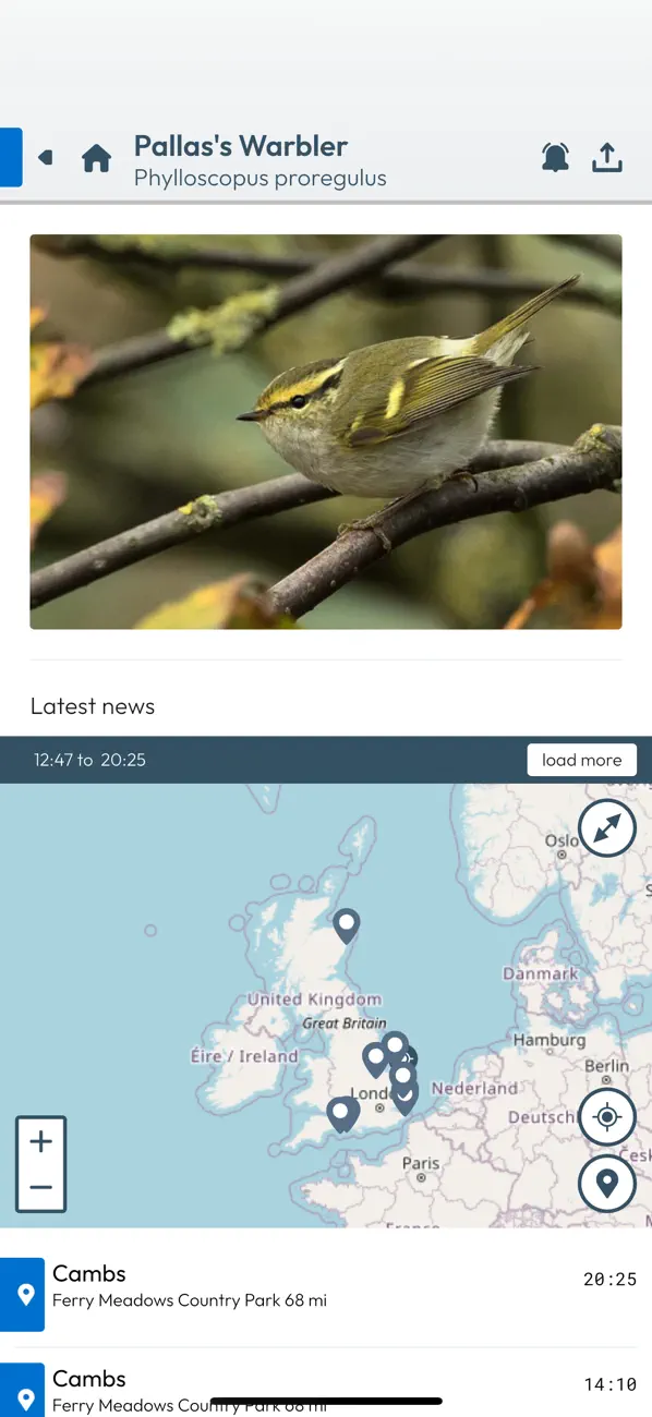 Screenshot #3 pour BirdAlertPRO