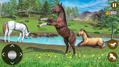 Wilderness Horse Racing Game Screenshot