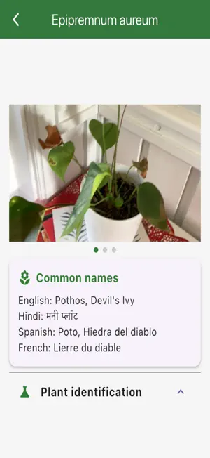 PlantSpy screenshot 4
