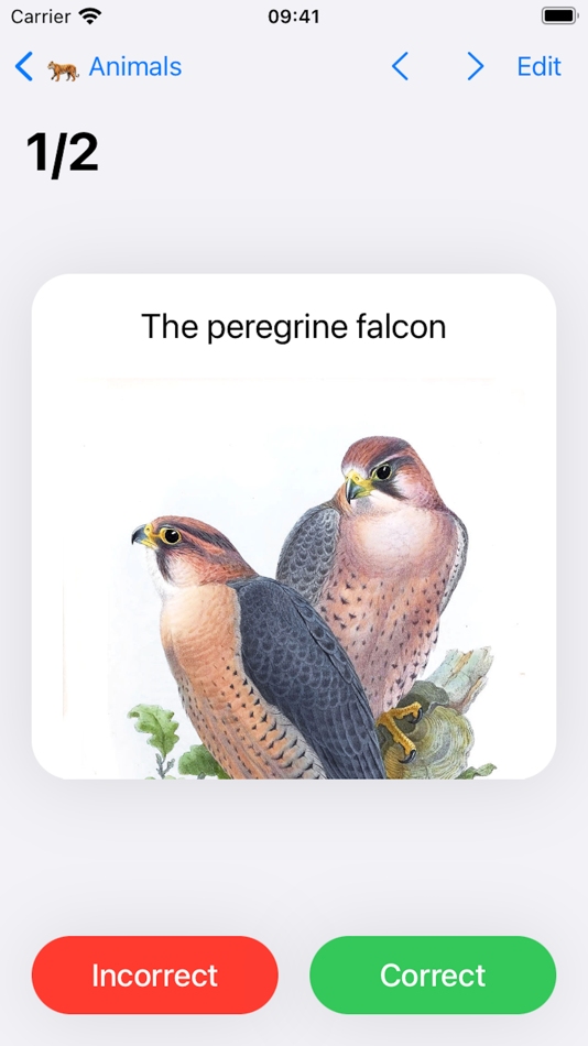 #2. Amazing Flash Cards (macOS) By: Erik Wegener