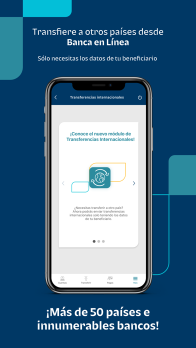 Bi en Línea PAN Screenshot