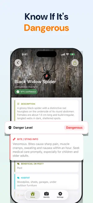 Bug Identifier: Spider & Pest screenshot 2