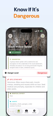 Bug Identifier: Spider & Pest Screenshot 2 of 6