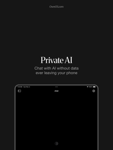 Ownos - Private, Local AI iPad screenshot