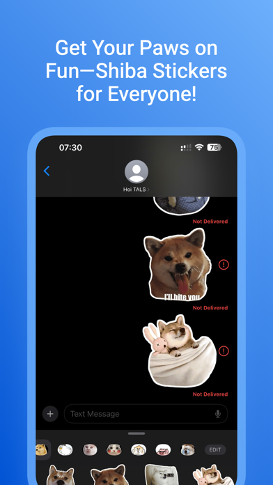 Shiba Dog Meme Screenshot