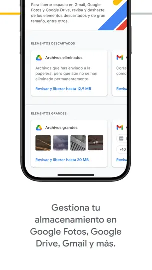 Captura de pantalla de Google One en iPhone 2