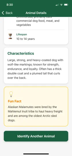 Animal Finder App iPhone Ekran Görüntüsü 3