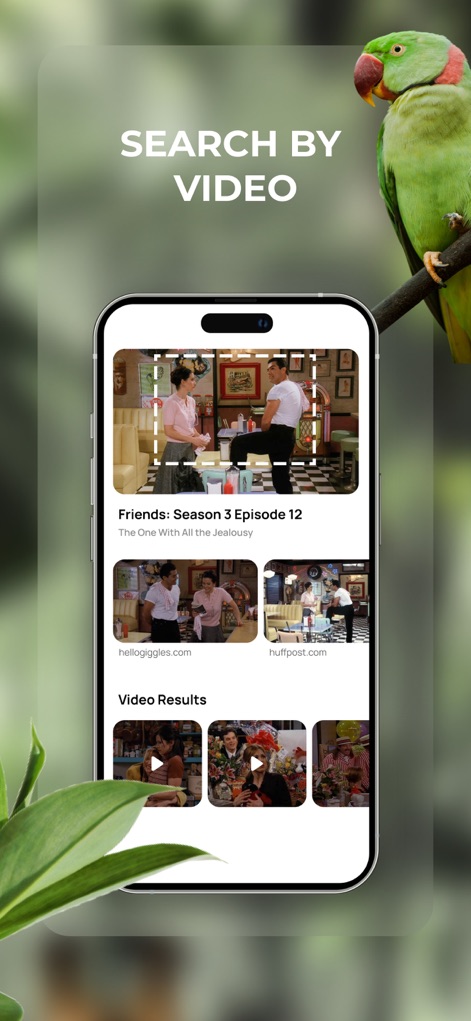 Lens: Translate & Image Search - Gli utenti possono facilmente cercare video, come dimostrato dalla cornice bianca che evidenzia una scena specifica, e visualizzare una serie di "Video Results" correlati, come miniature di episodi, per approfondire la ricerca.