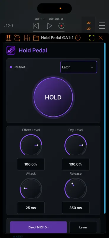 Hold Pedal screenshot 2 of 3