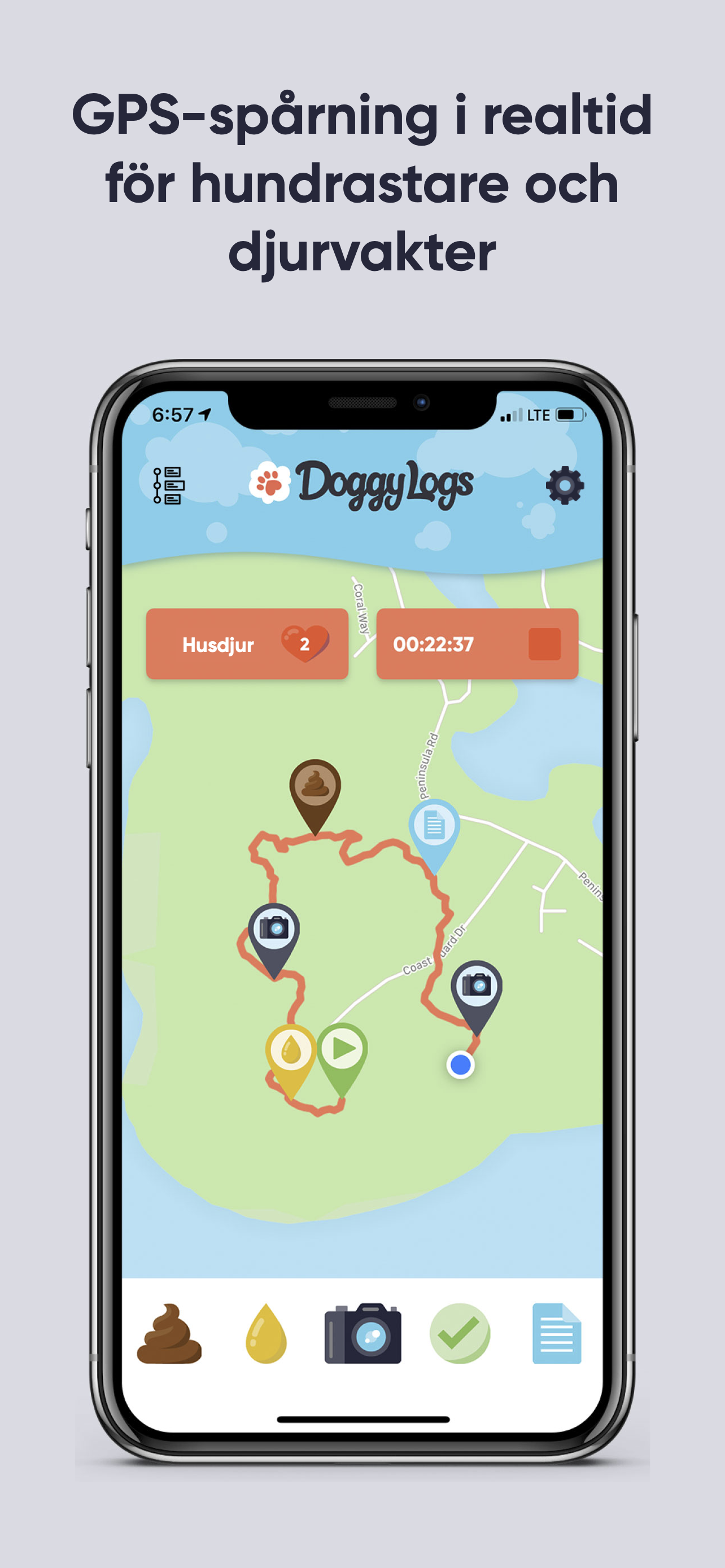 Doggy Logs