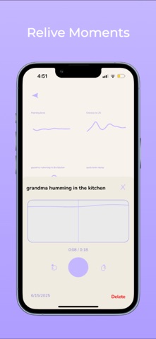wavelet: audio journal screenshot