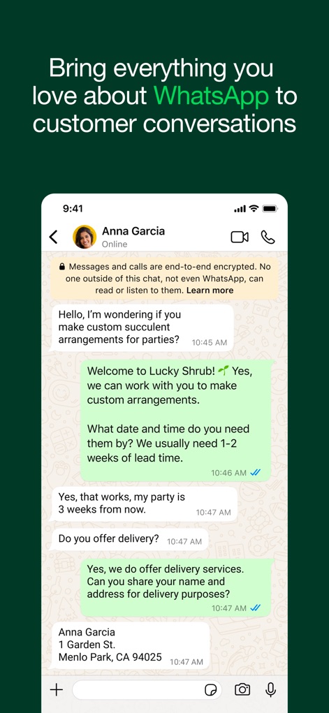 WhatsApp Business - Familiar Messaging Interface