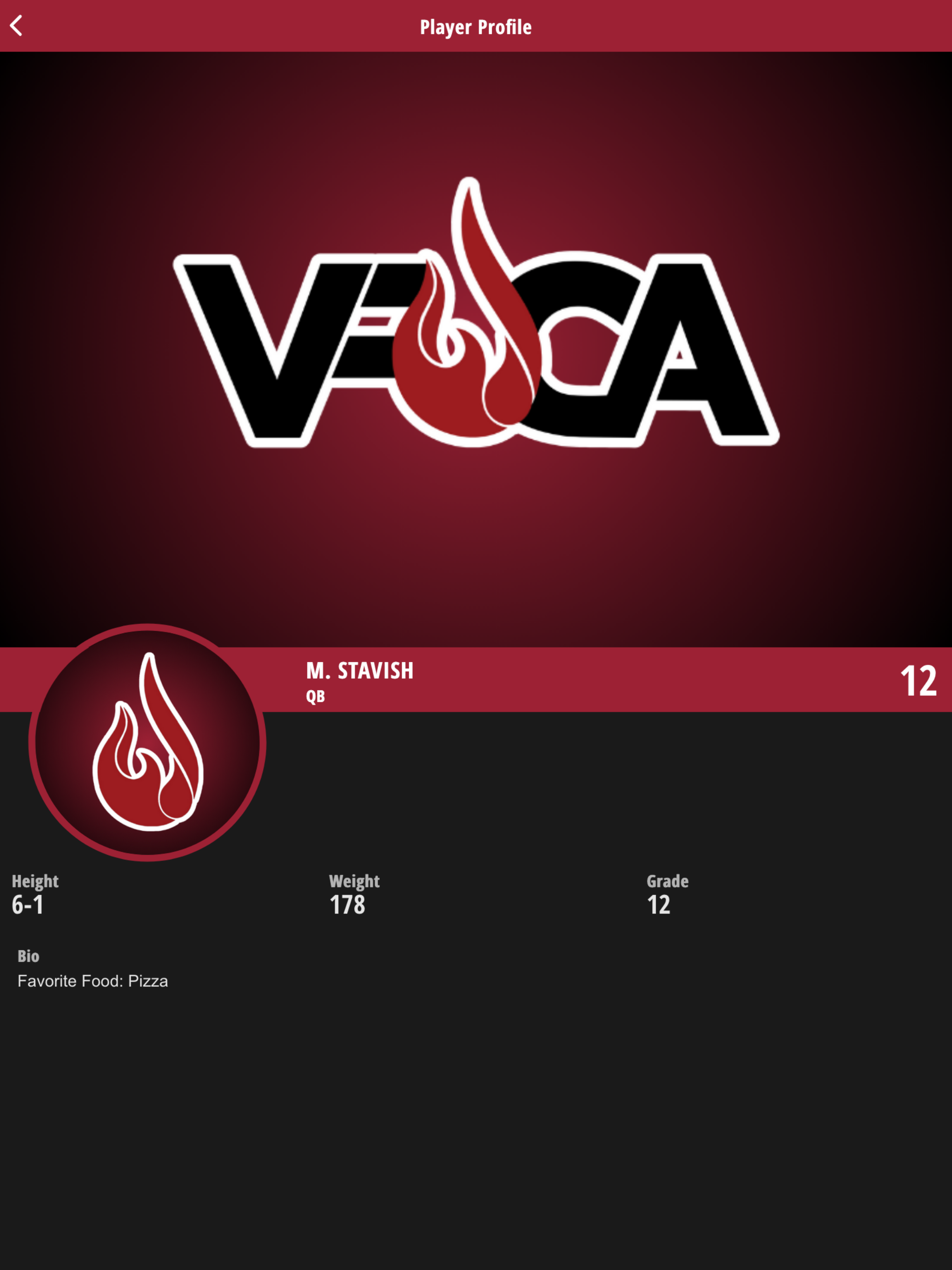 VFCA Fire screenshot 14
