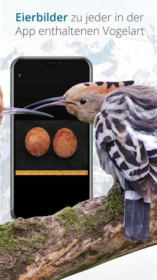 #8. Vogelführer Birdlife Schweiz (iOS) 来自: Sunbird Images OHG