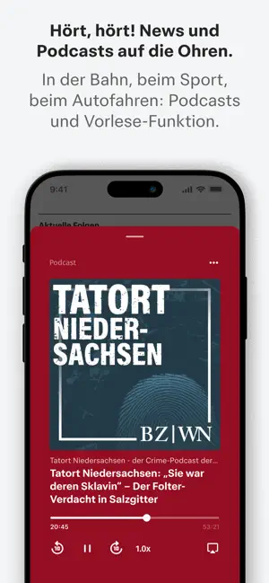 Harz Kurier News screenshot 3