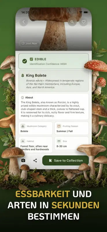 Pilze bestimmen: Erkennung screenshot 2 of 7