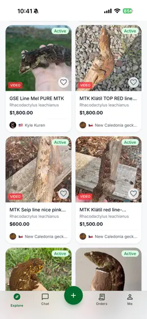 MorphMarket Talk screenshot 2