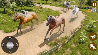 Wilderness Horse Racing Game Screenshot