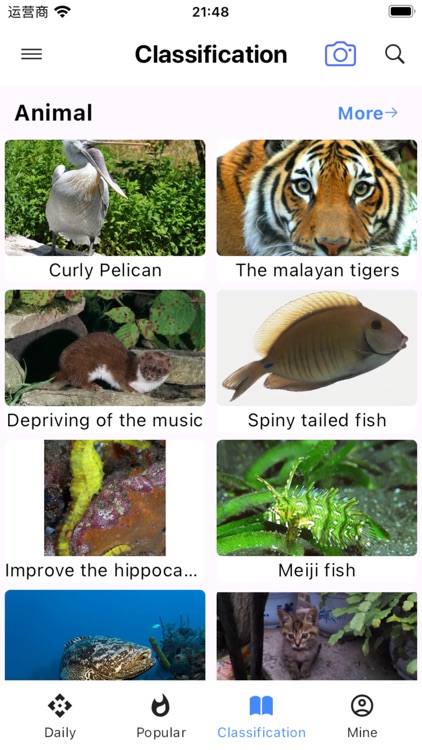 Wild Guide - Plant & Animal ID screenshot-4