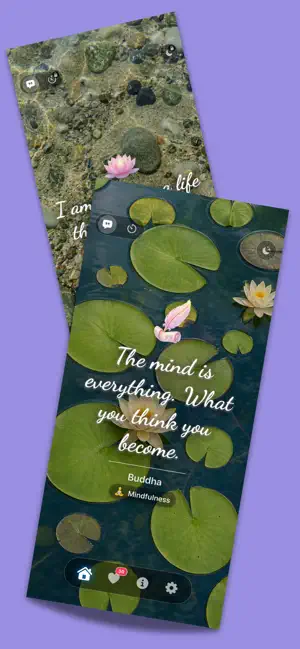 Zen Flow Daily Inspirations screenshot 1
