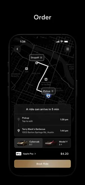 Tesla Robotaxi screenshot 2