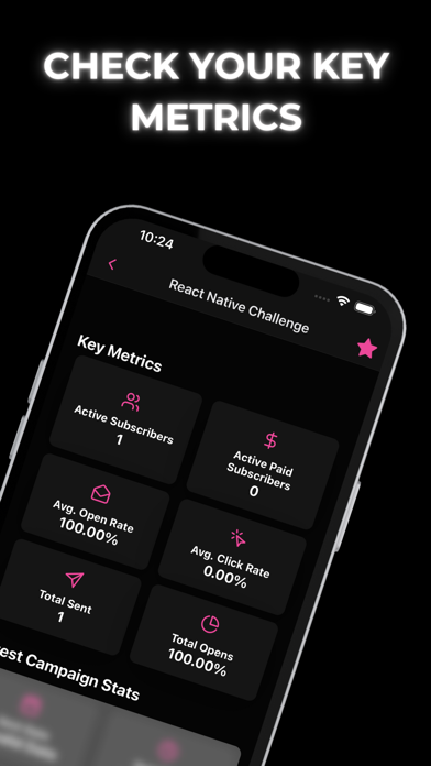 Newsletterytics: Beehiiv's App Screenshot