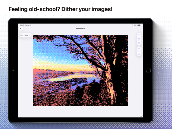 Ditherable: Retro & Pixel art iPad screenshot 1 - Photo & Video app