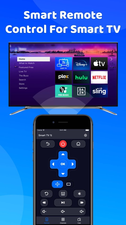 #1. RK TV Remote & Cast to TV App (iOS) Podle: 泽邦 何