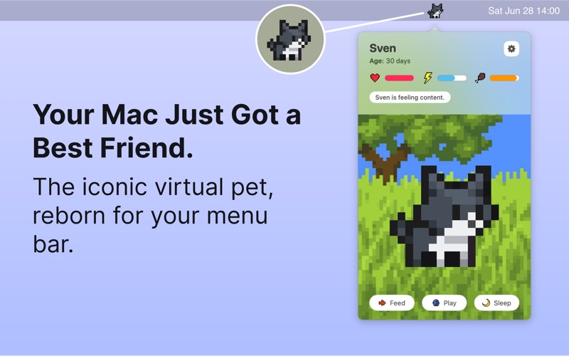 PixelPaws: Virtual Pet Game app screenshot