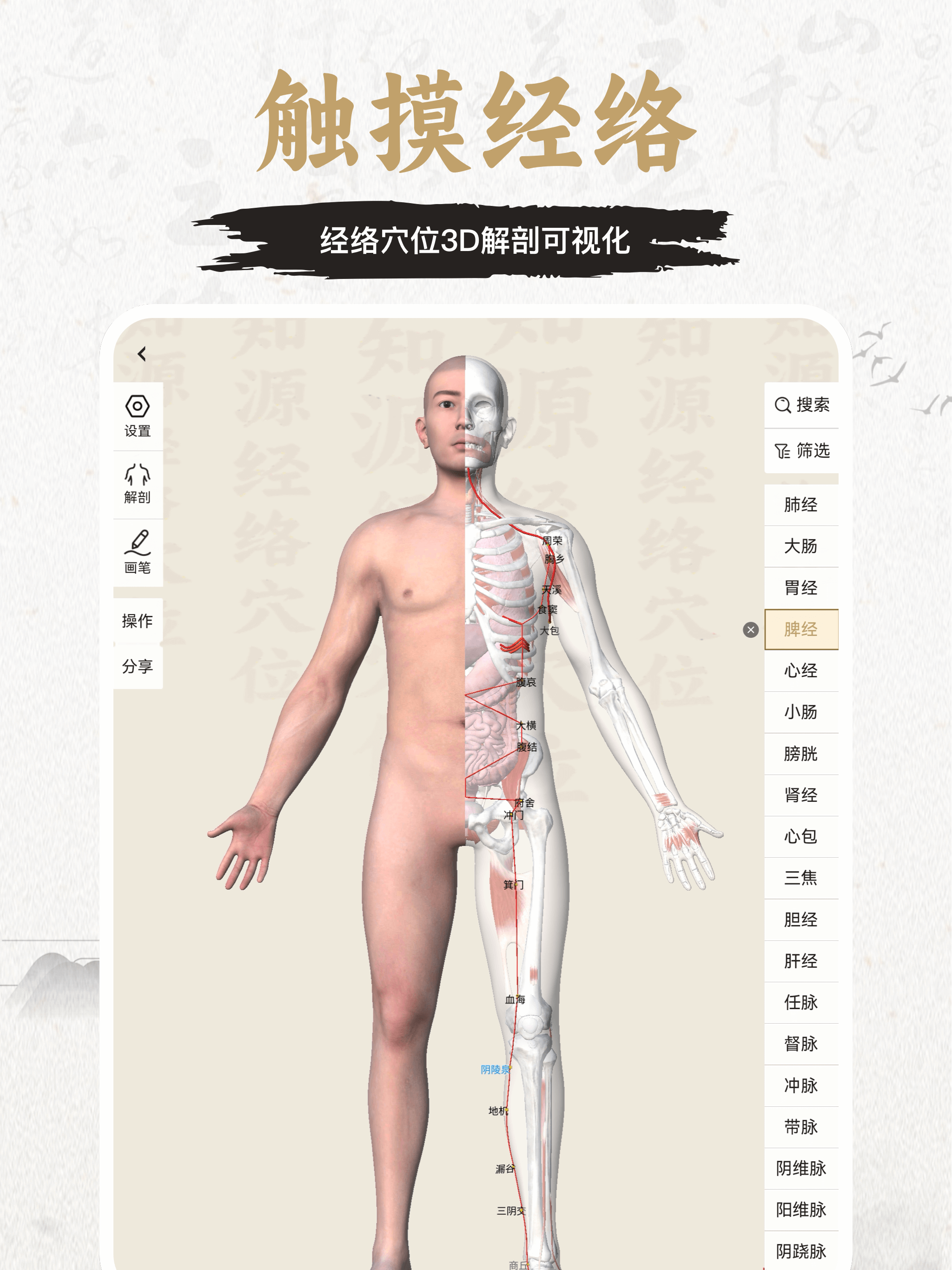 知源经络穴位-中医经络穴位针灸艾灸按摩养生舌诊中草药识别大全