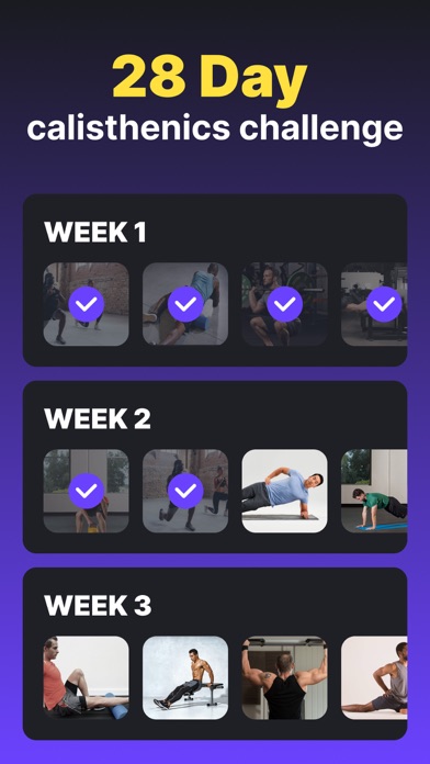 Calisthenics Workout Screenshot