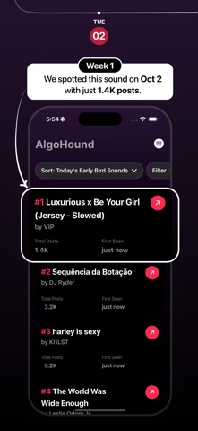AlgoHound screenshot