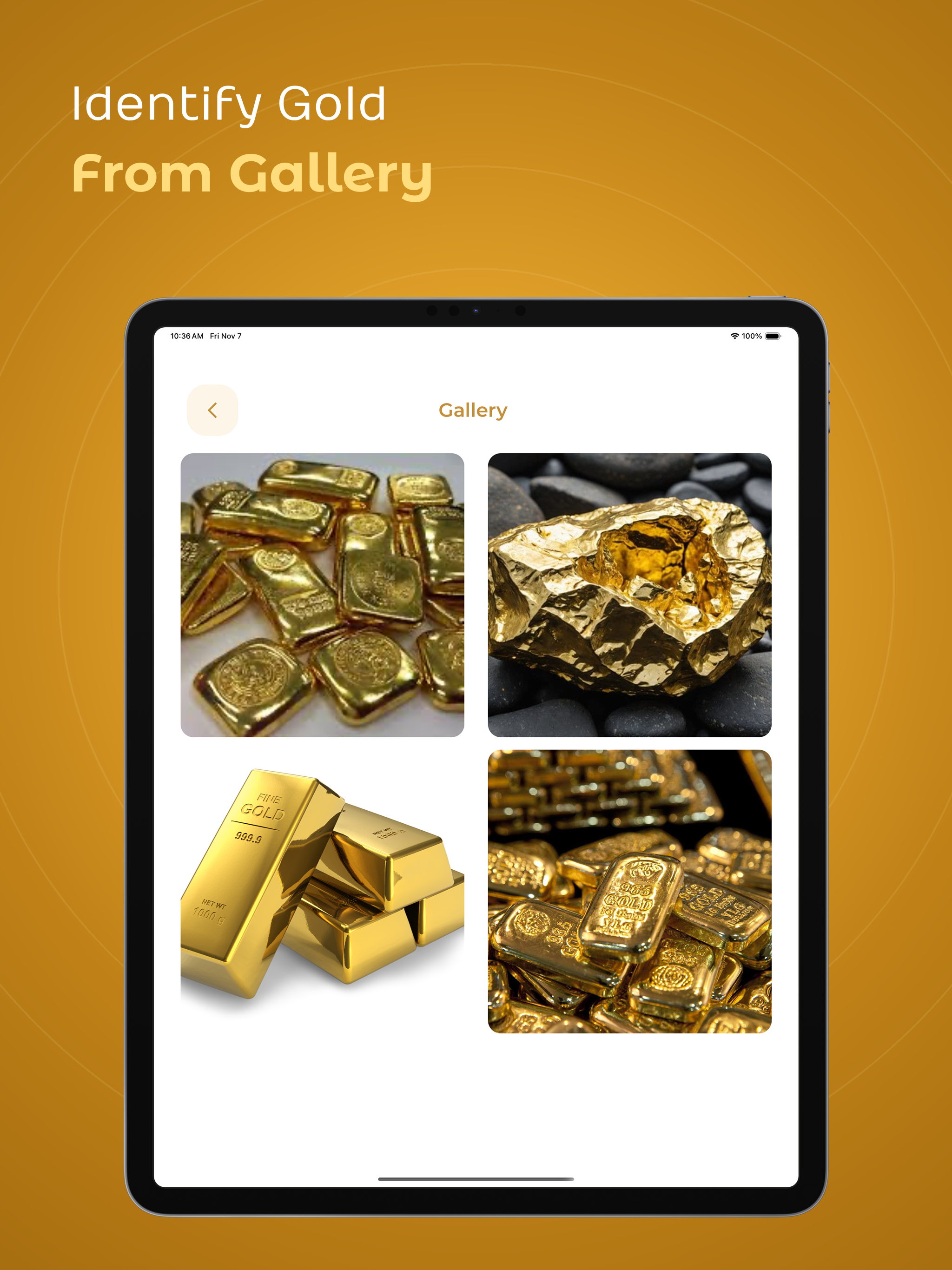 Gold Identifier screenshot 14