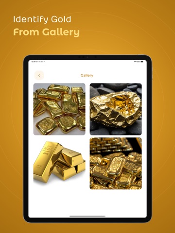 Gold Identifier iPad screenshot