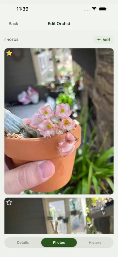 Orchidarium screenshot 3