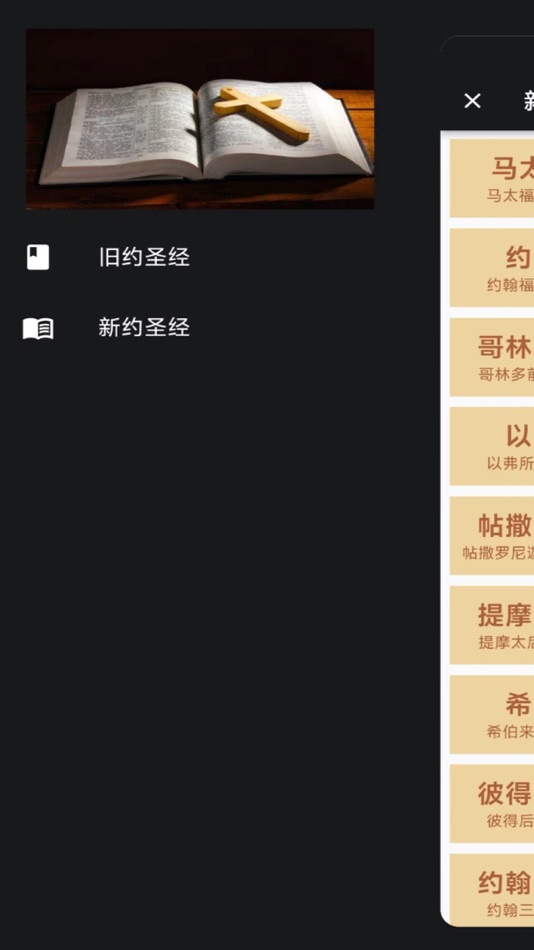 #1. 圣经在线(离线无广告) (iOS) 由: 栋栋 杨
