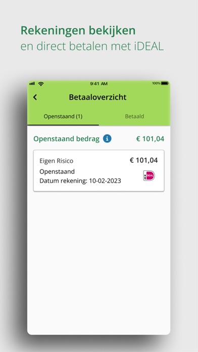 Mijn Stad Holland Screenshot