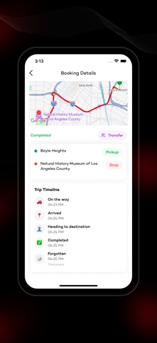 Conciliera Chauffeur screenshot