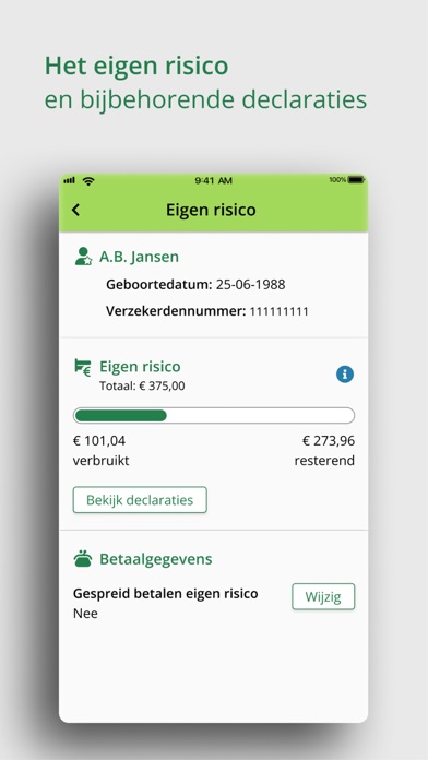Mijn Stad Holland Screenshot