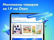 ozon Банк айпад изображения 2