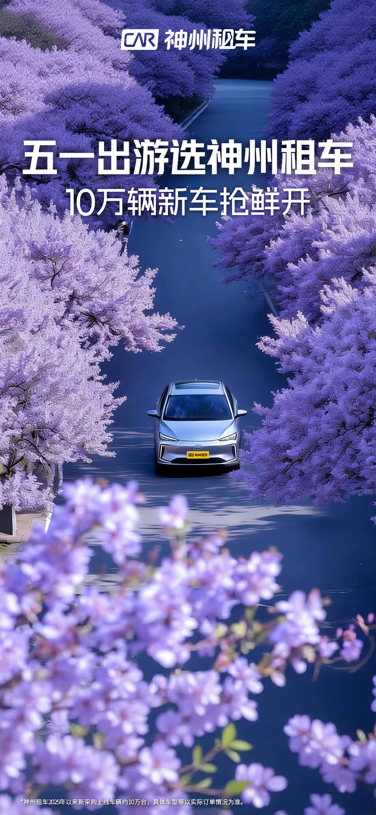 神州租车-全直营 安心租