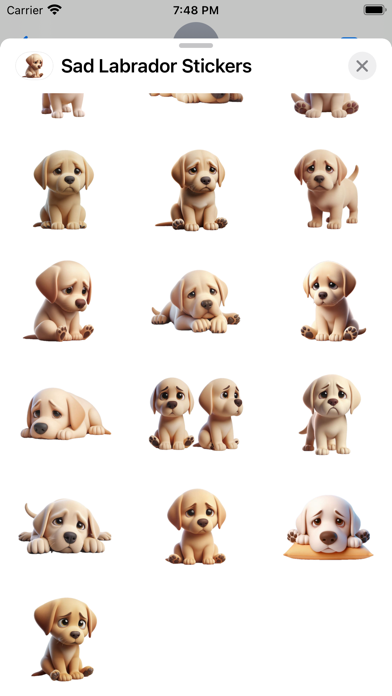 Screenshot #3 pour Sad Labrador Stickers