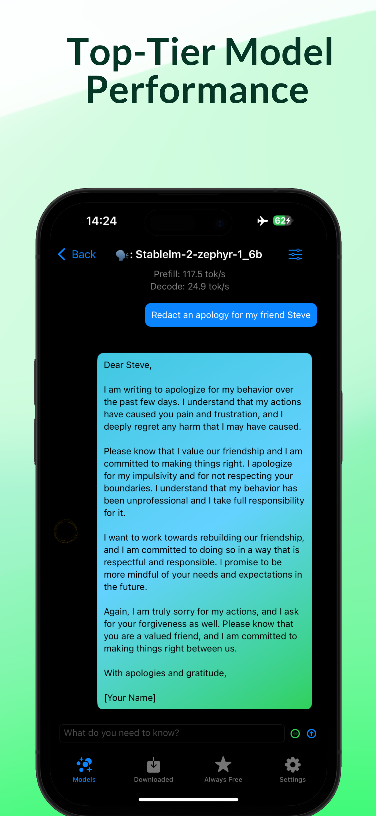 Privacy AI Offline Chat Bot
