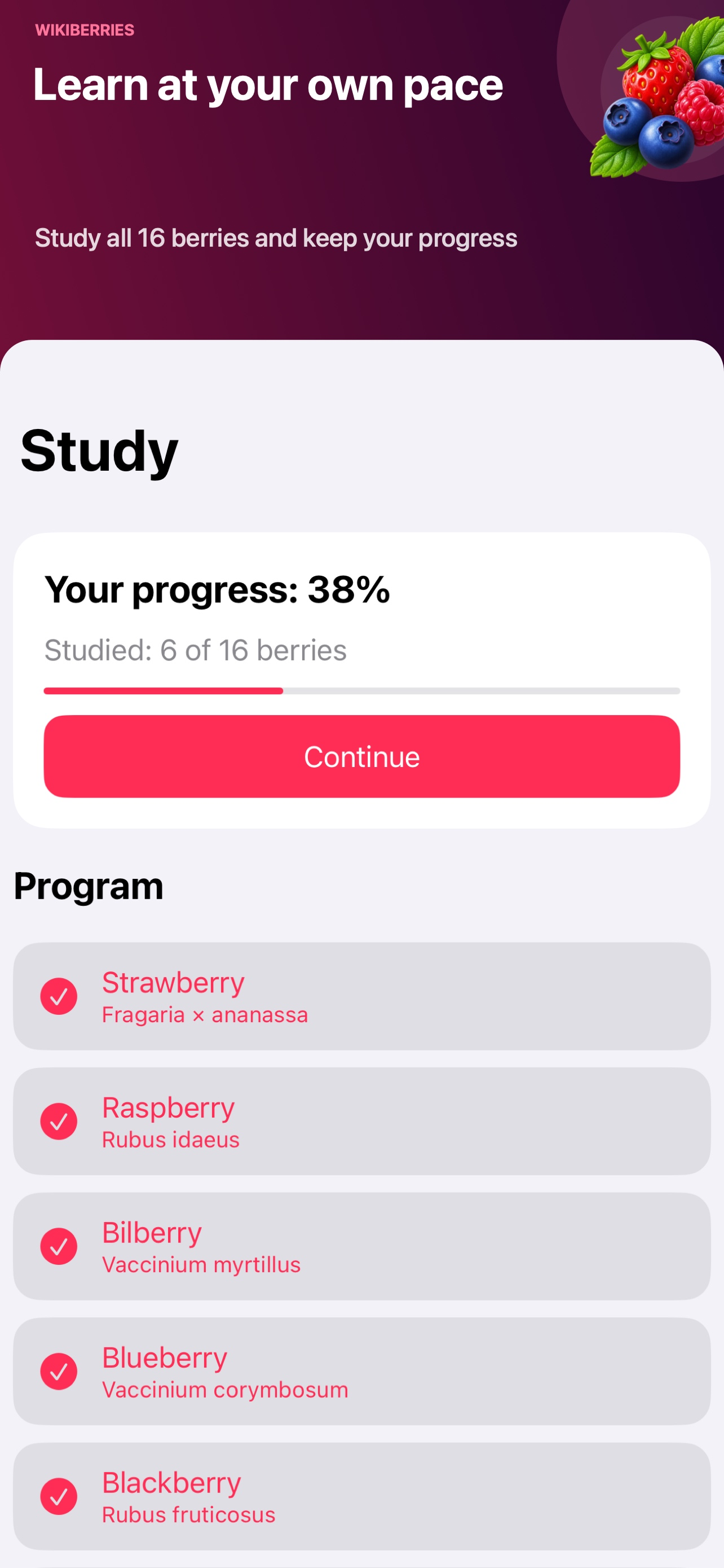 Wikiberries screenshot 2
