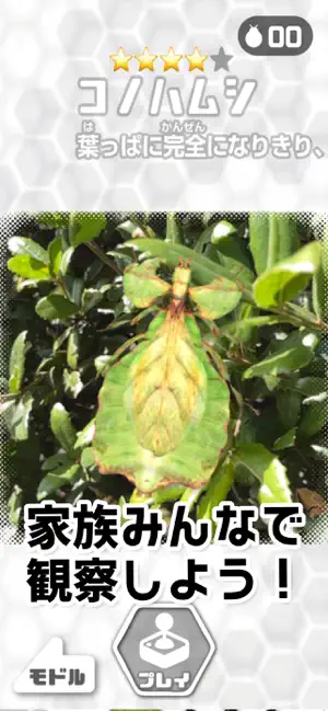Micromon: AR Insect screenshot 2