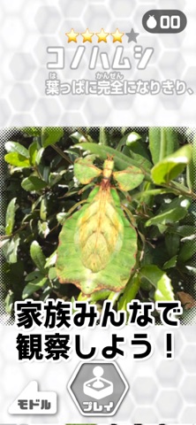 AR昆虫観察 ミクロモンスターズ screenshot