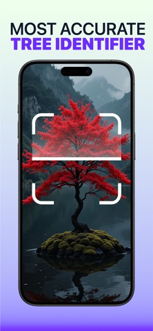 Tree ID: Wood Identifier iPhone screenshot