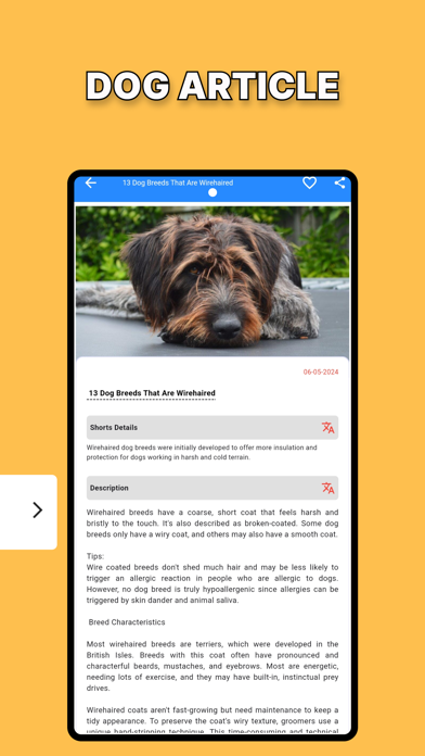 Dog Identification-DogScanner Screenshot