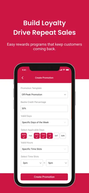 LB Partners screenshot 4