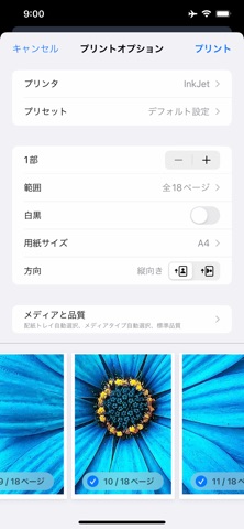 ポスター印刷 のスクリーンショット